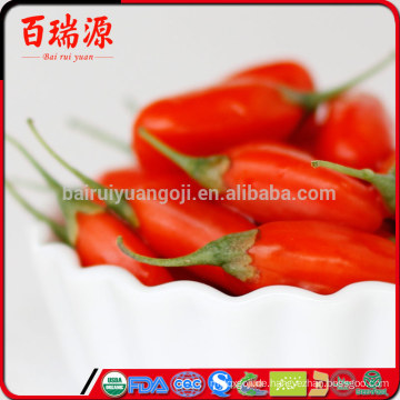 Bacchus di goji Taube compare goji tibetano goji Tee